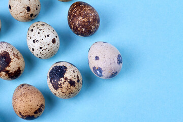 Many eggs with shadows on blue background.