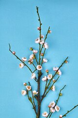 Vertical shot of spring branch with small flowers.