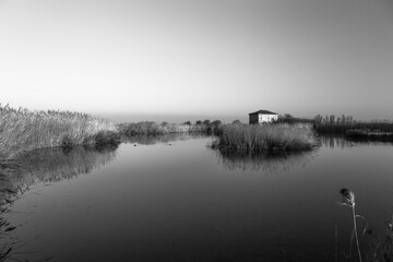 calm black and white landscape with pond and abandoned house
