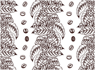 Drawing pattern of brown coffee tree with leaves, roasted and raw coffee beans on a branch on white background. Vintage botanical wallpaper, line art leaf, sketch food, espresso. Vector illustration