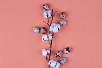 Cotton flowers and quail eggs on orange background.