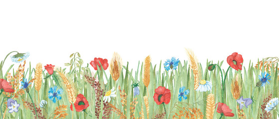 Watercolor hand painted field nature composition with green grass and red poppy, white chamomile, blue cornflower and golden rye ear cereals bouquet on the white background