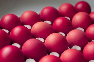 Rural, colored eggs in cartoon egg crate, close-up with soft and select focus