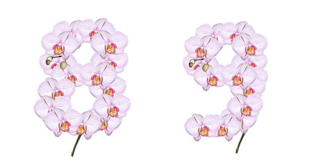 Numbers 8, 9 made from orchid flowers