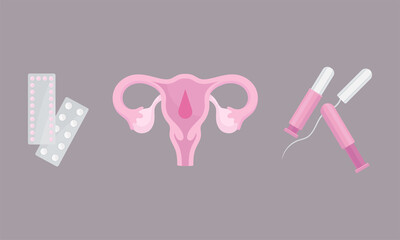 Menstruation or Period with Female Reproductive Organ and Tampoon Vector Set