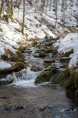 Winter coniferous forest in winter on a sunny day.Mountain stream.Shipot waterfall and its surroundings. Carpathians. Ukraine.