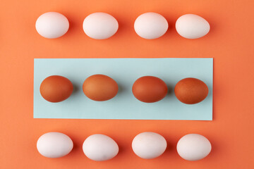 Rows of chicken eggs top view.