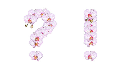 Exclamation mark and question mark made from orchid flowers