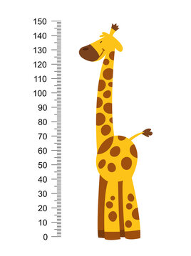 Cheerful funny giraffe with long neck. Height meter or meter wall or wall sticker from 0 to 150 centimeters to measure growth. Childrens  illustration