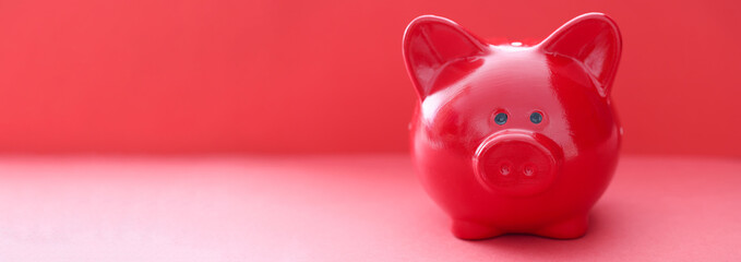 Red pig on a red background closeup © megaflopp
