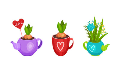 Garden Flowers in Different Containers and Fancy Pots Vector Set