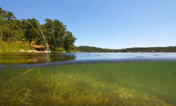 Underwater Kettle Hole Pond On Cape Cod