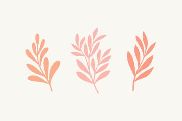 Fototapeta na wymiar Set of botanical vector elements. Hand drawn illustration with leaves and plants.  Floral ornaments for card, logo design, print fashion.