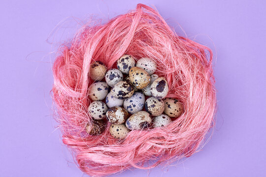 Pink hairy nest with quail eggs.