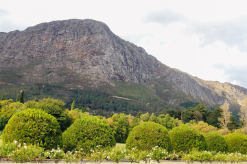 Obraz premium landscape with mountains