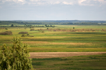 Fototapeta na wymiar Krajobraz przyroda widok na polanę z dalekiej perspektywy 