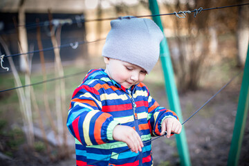 A child touches the ropes for the garter of grapes. Preparing the vine for the fruiting season.