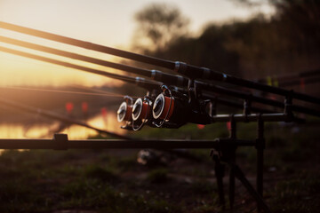 carp fishing rods with reels isolated on sunrise light
