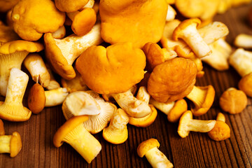Fresh chanterelle mushrooms on wood surface close-up, soft selective focus