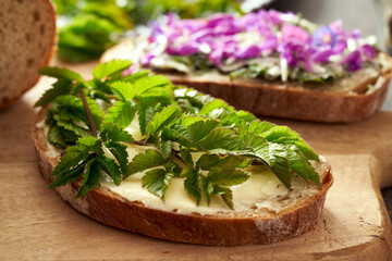 A slice of bread with young ground elder leaves - a wild edible plant , with bread with purple dead-nettle flowers in the background