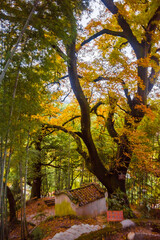village in the valley of mountains