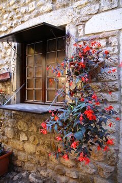old house with flowers