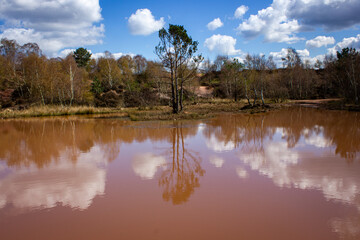The Old Quarry on Cannock Chase