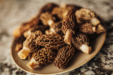 A close up shot of raw organic morel mushrooms. Concept of gourmet food and French cuisine - obrazy, fototapety, plakaty
