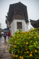 autumn in the village