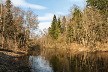 The river flows in early spring in a forest with a large number of trees and shrubs. Areas of the shore with dry grass are illuminated by sunlight. Wildlife landscape on a sunny spring day