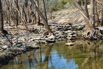 This photo was taken on the Elk River Hiking Trail near Independence, Kansas. 