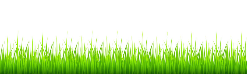 Green grass border isolated on white background. Lawn or meadow natural texture. Springtime theme. Vector cartoon illustration.