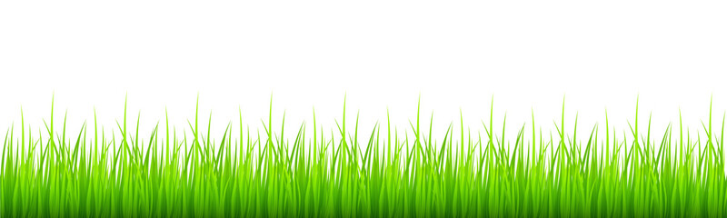 Obraz premium Green grass border isolated on white background. Lawn or meadow natural texture. Springtime theme. Vector cartoon illustration.