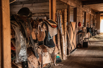 Leather saddles, soft blankets, steel stirrups and other riding equipment in the wooden stable on...