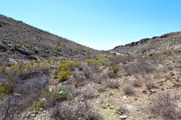 This Photo was taken in New Mexico.