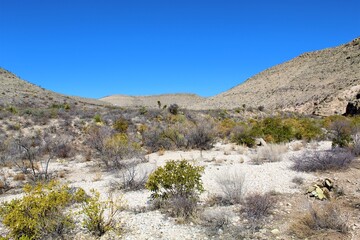 This Photo was taken in New Mexico.