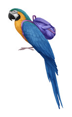 Hand-drawn illustration of Parrot with a backpack.  Pet. Bird