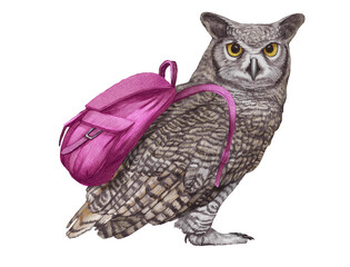 Hand-drawn illustration of Owl with a backpack. Wild Bird. 
