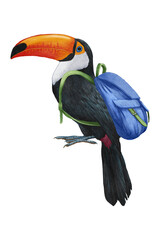 Hand-drawn illustration of Toucan with a backpack. Tropical Bird. 