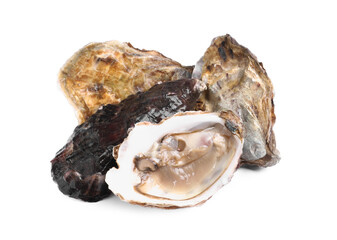 Fresh raw closed and open oysters on white background