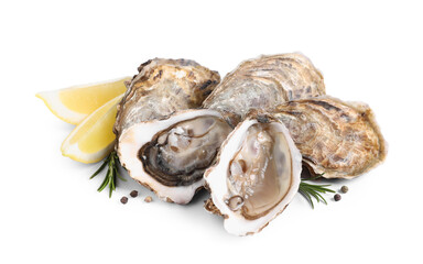 Fresh raw oysters served on white background