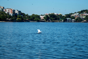 s&atilde;o fotos bonitas 