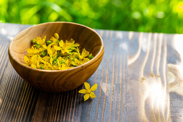 St. John's wort. Hypericum plants yellow flower used in alternative medicine in a wooden plate on a vintage table. Medicinal herbs Hypericum for Homeopathic Remedies.