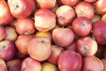Fototapeta na wymiar Large group of ripe red apples background