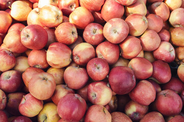 Red apples in large quantities