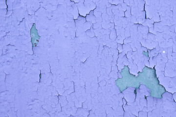 Cracked blue oil paint on aged metal surface. Cool grunge crackle texture. Fractured pattern. Peeling paint on Old wall. close up