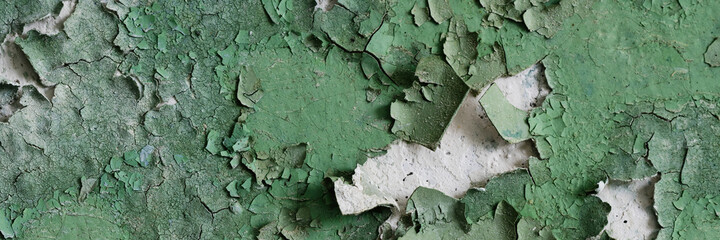 Peeling paint on the wall. Panorama of a concrete wall with old cracked flaking paint. Weathered rough painted surface with patterns of cracks and peeling. Wide panoramic grungy texture for background