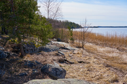 The baltic sea coast in Finland in the spring on a sunny day