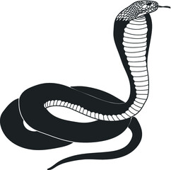 Fototapeta premium Cobra snake