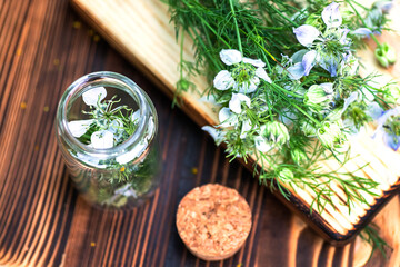 Nigella arvensis, devil-in-a-bush, love-in-a-mist in wooden mortar next to dried flowers in medical jar with cork for making Black cumin oil from seeds